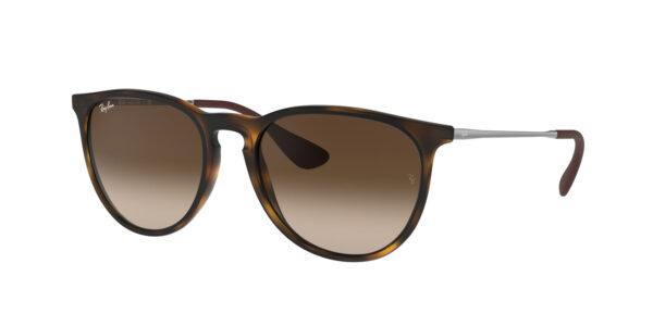 Ray-Ban RB4171 865/13